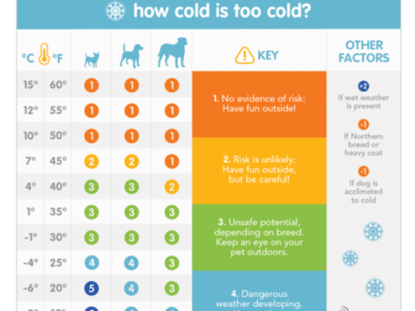 infographic, cold weather safety