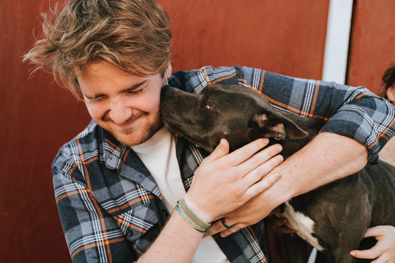 ADOPTING A SHELTER DOG 10 tips for a successful adoption - Ontario SPCA and  Humane Society