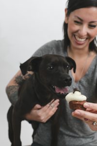 How to bake 'pupcakes'