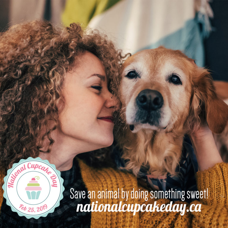 National Cupcake Day™ by the Numbers Ontario SPCA and Humane Society
