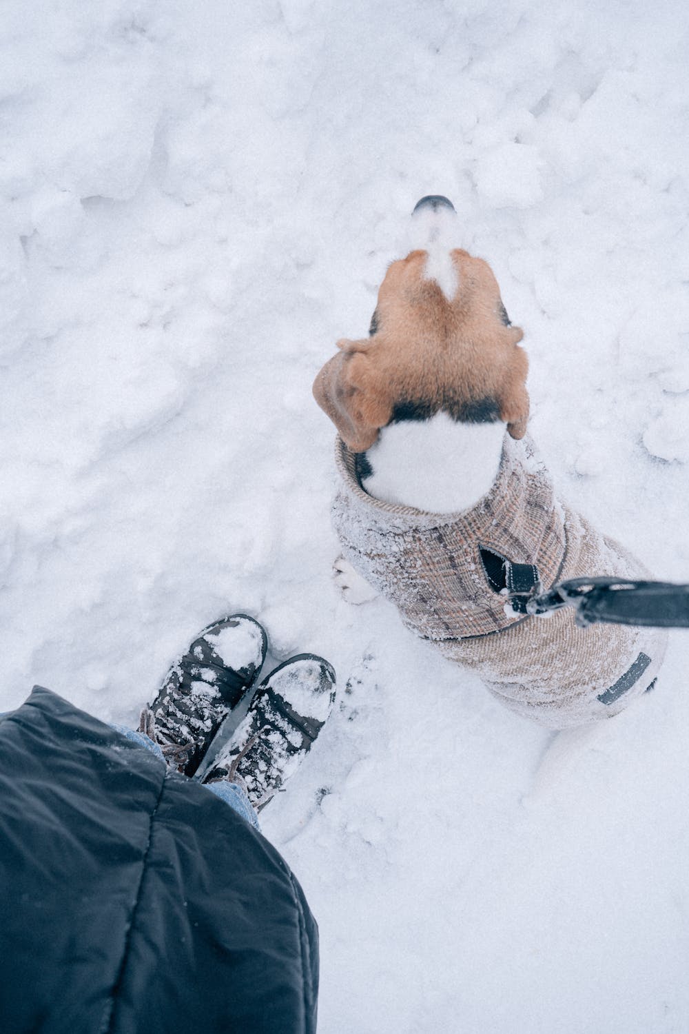 How To Stay Warm On Your Winter Walks