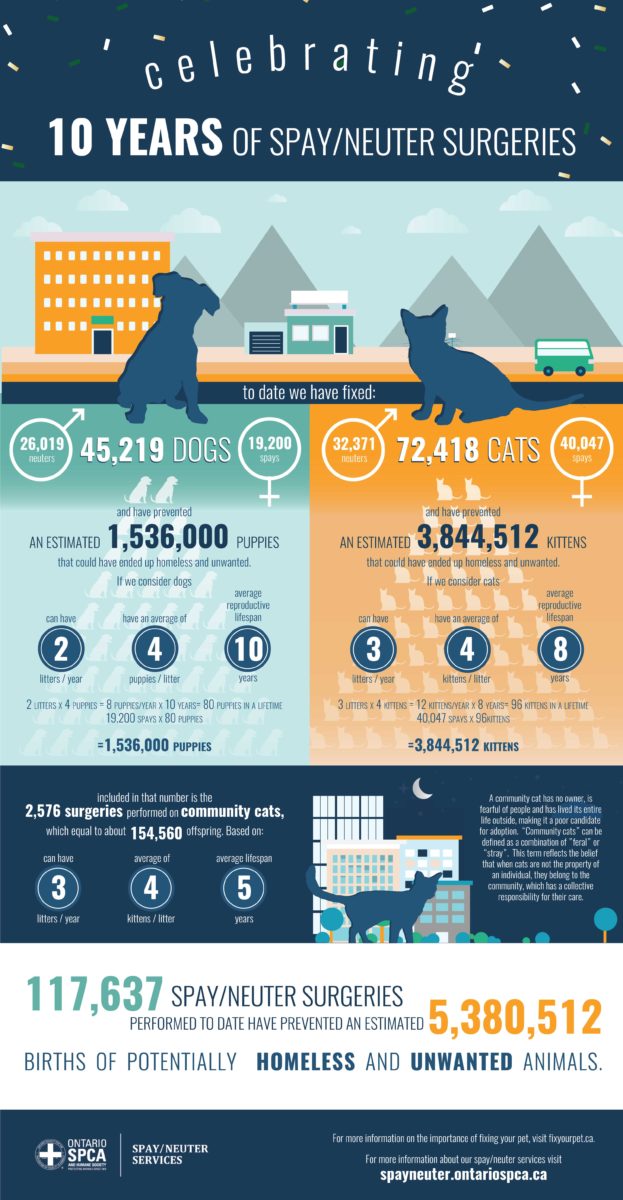 10th Anniversary of spay neuter services