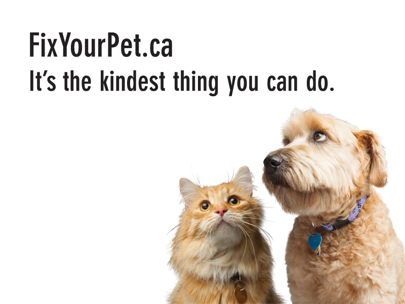 Fix Your Pet Ontario SPCA and Humane Society