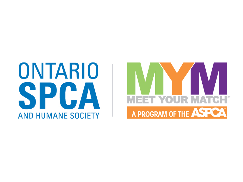 Meet Your Match® - Ontario SPCA and Humane Society