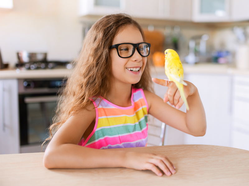 little girl holding yellow bird
