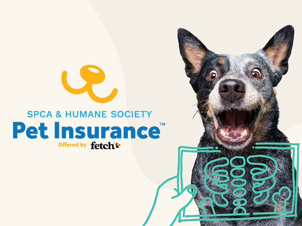 Pet Insurance - Ontario SPCA and Humane Society