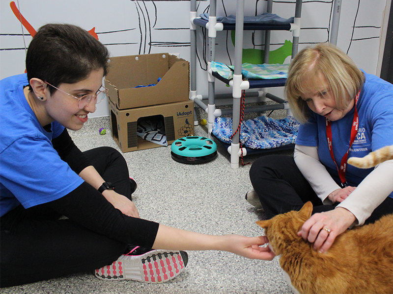 OSPCA volunteers with orange cat