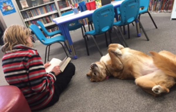 children reading to dogs, renfrew