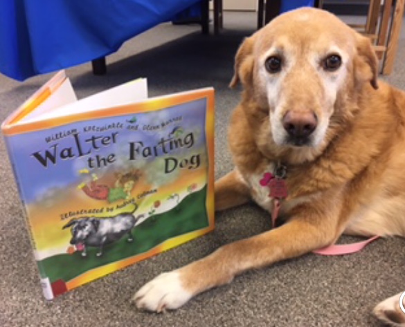 children reading to dogs, renfrew