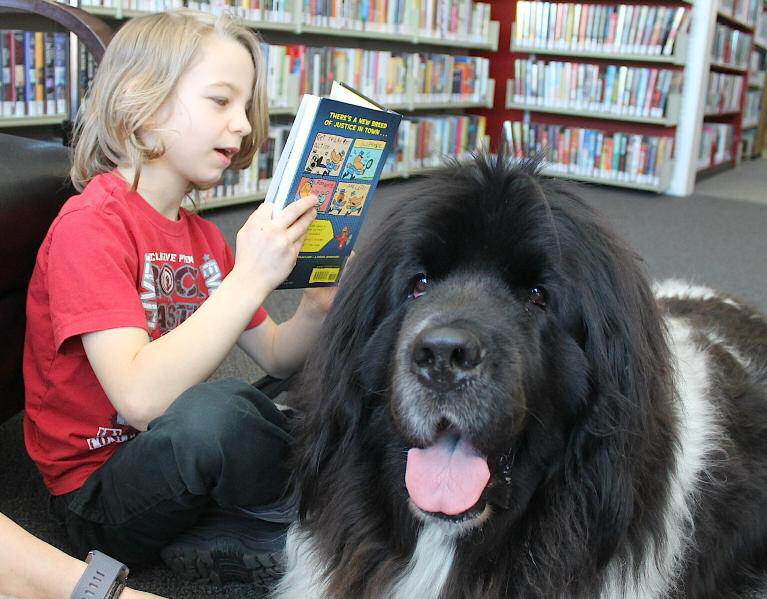 Dogs up for adoption help children learn to read Ontario SPCA