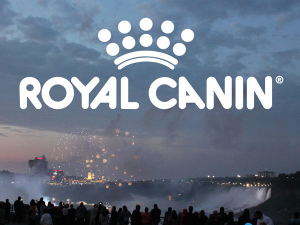 royal canin, conference, educational conference