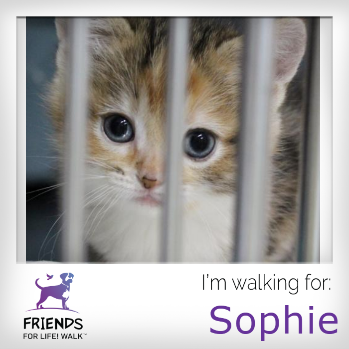 Register for the 2019 Friends for Life!™ Walk! - Ontario SPCA and Humane  Society