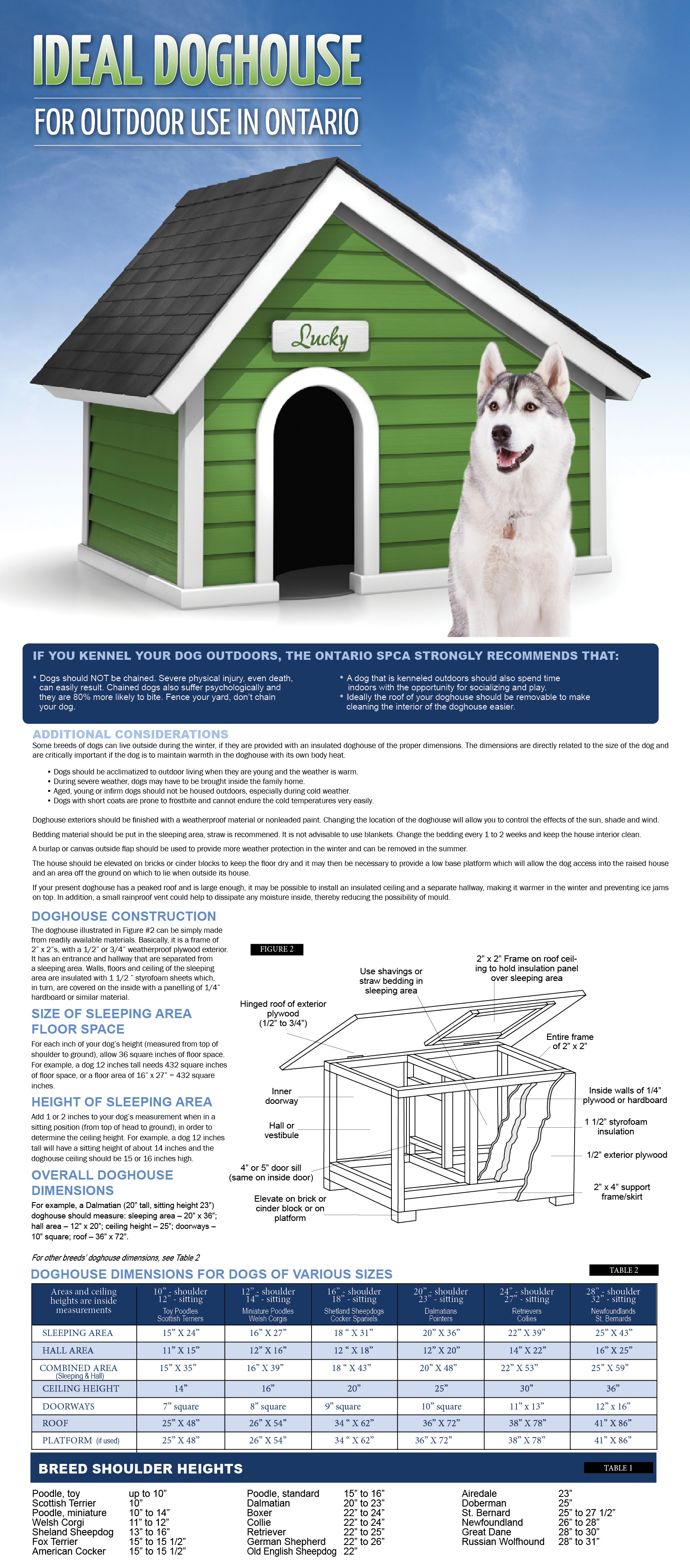 keeping a dog outside in a kennel
