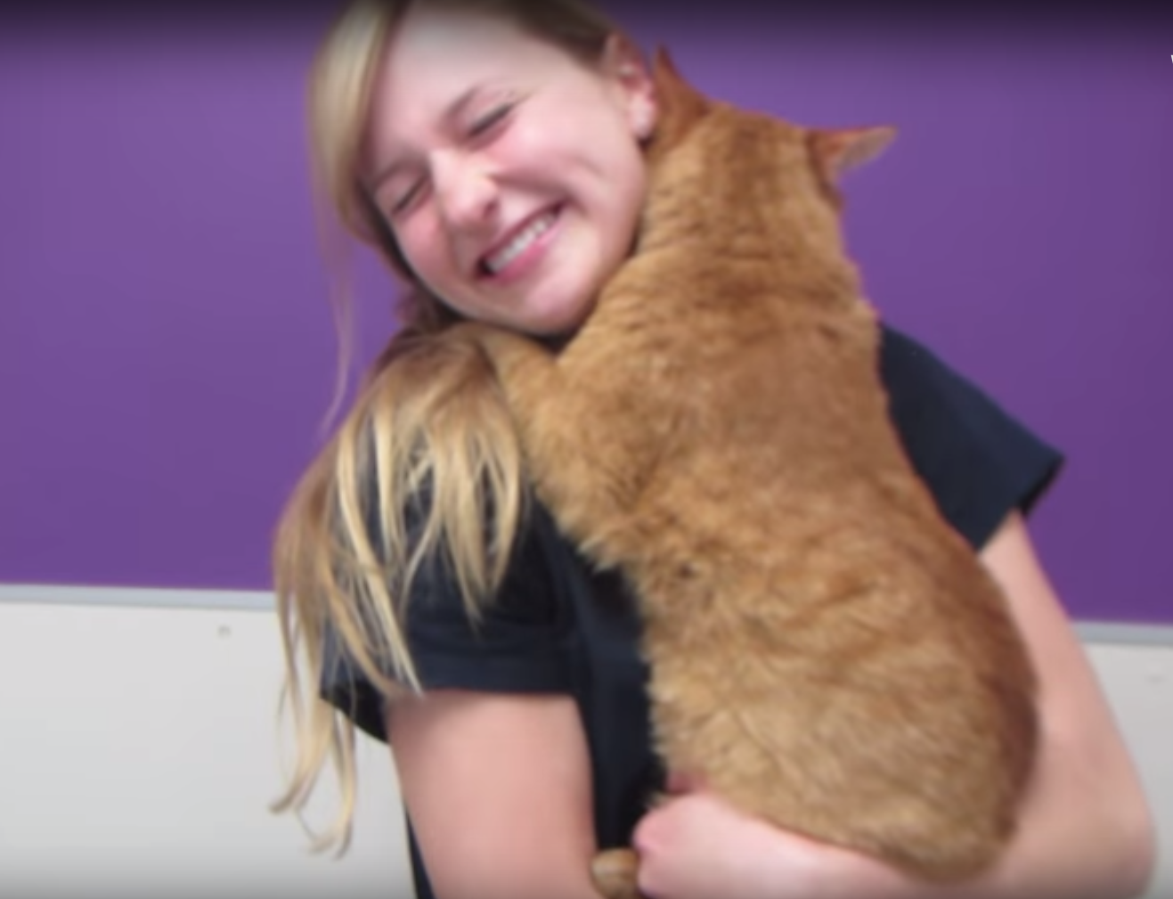 Celebrate International Hug Your Cat Day with Wulfgar the hugging cat