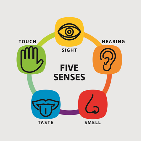 Strategies Targeting the Five Senses - Ontario SPCA and Humane Society