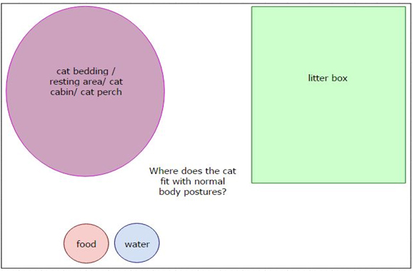 housing diagram for cats
