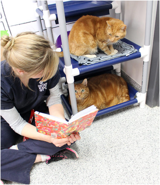 reading to shelter cats