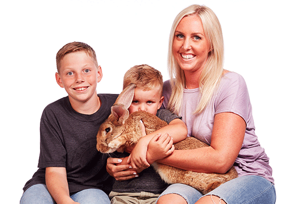 Peter rabbit, rabbit rescue, animal rescue story