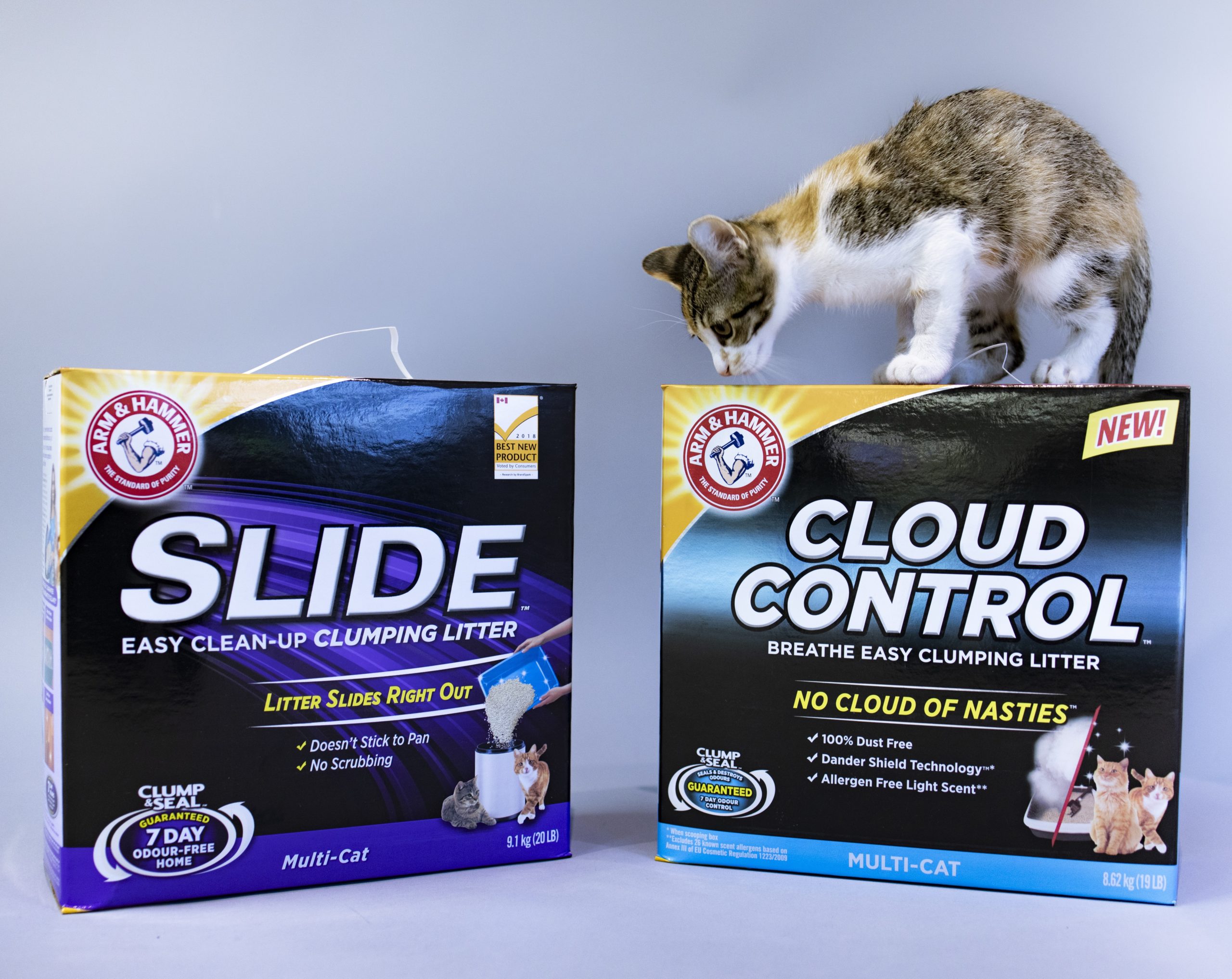 Best cat litter outlet for multiple cats 2019