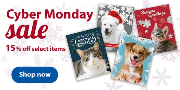 Dog shop cyber monday