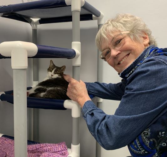 cat adoption, woman with cat