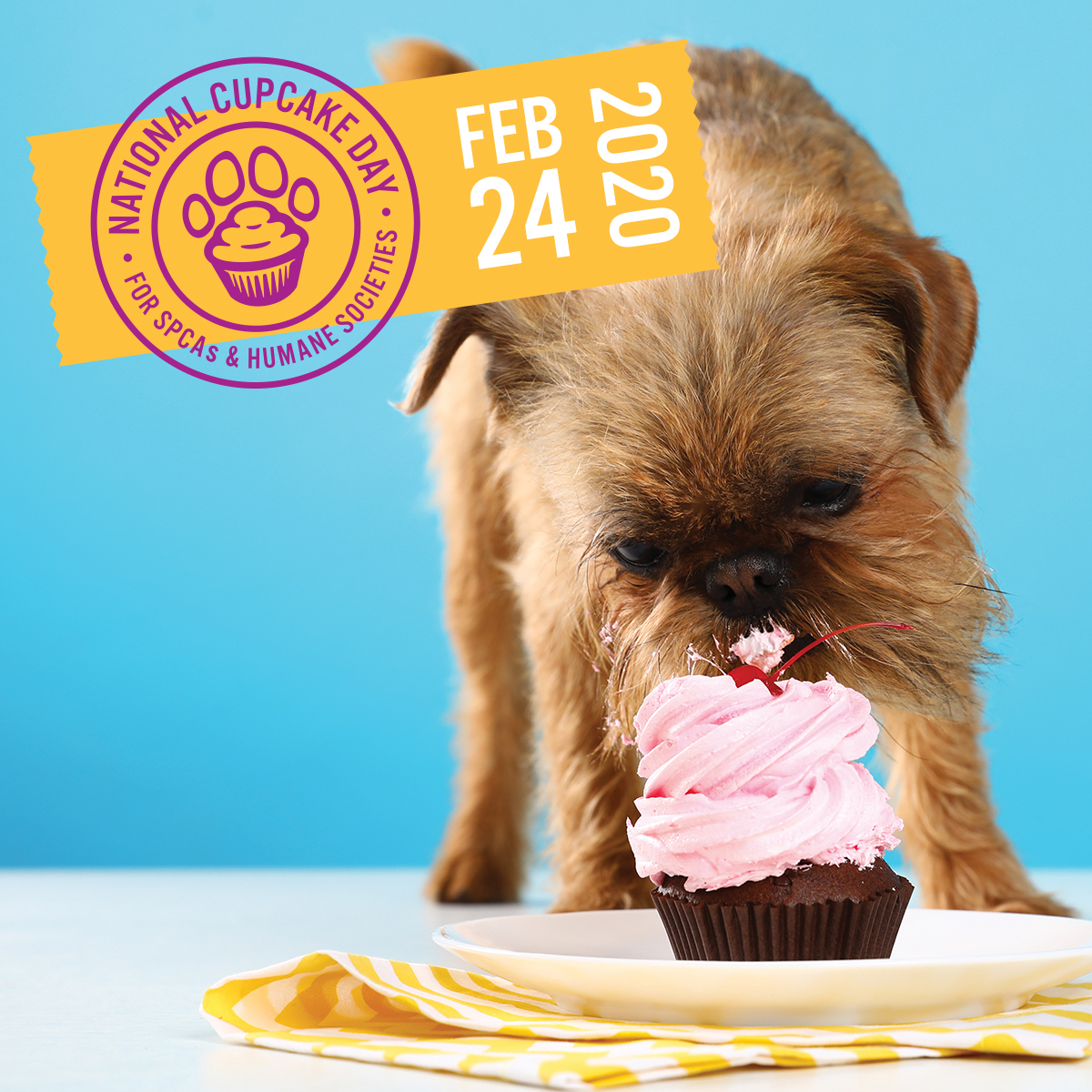 Today’s the day! National Cupcake Day™ 2020 Ontario SPCA and Humane