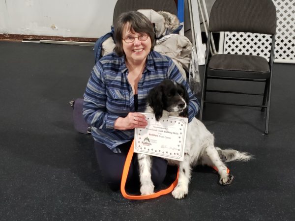 Nigel, quebec shelter, homeless dog