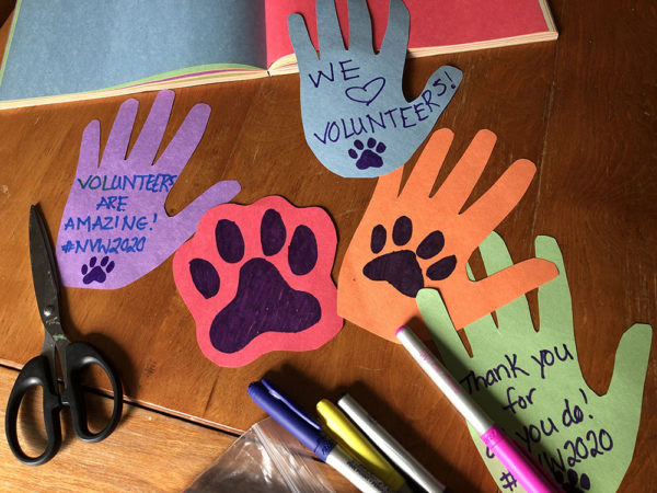 National Volunteer week, media release, hand print cut outs