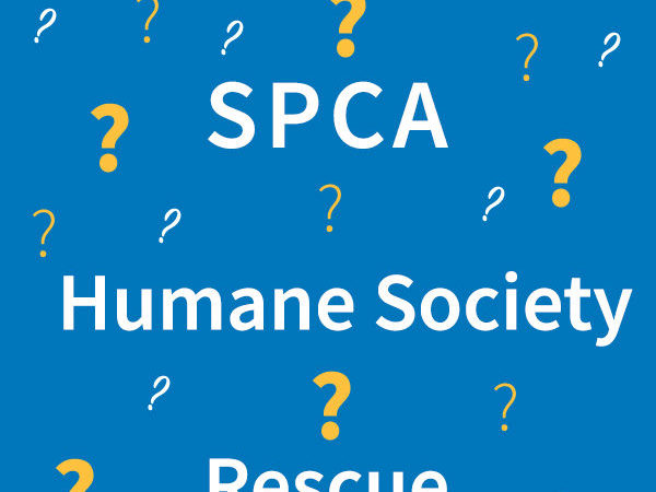 SPCA, humane society, rescue, what's in a name