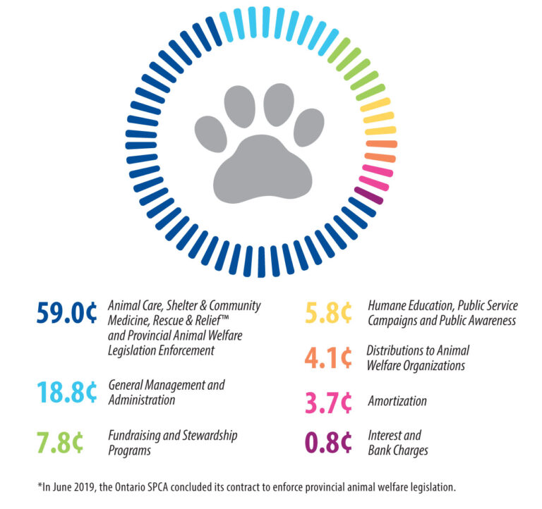 How Your Donations Help Animals Ontario SPCA and Humane Society