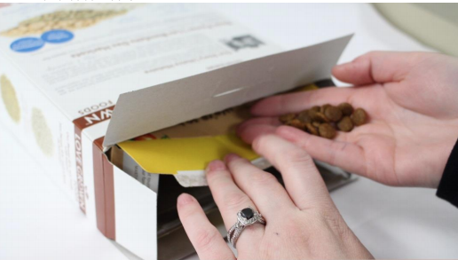 DIY Puppy Dog Food Dispenser from Cardboard at Home 