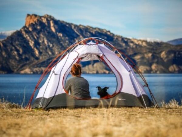 camping, camp, camping with pets