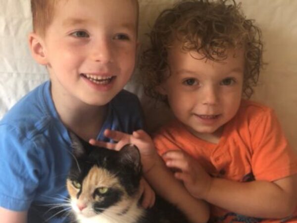 KitKat, urgent animal care fund