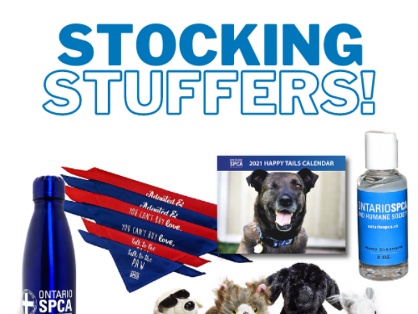stocking stuffers, paws and give, holiday giving
