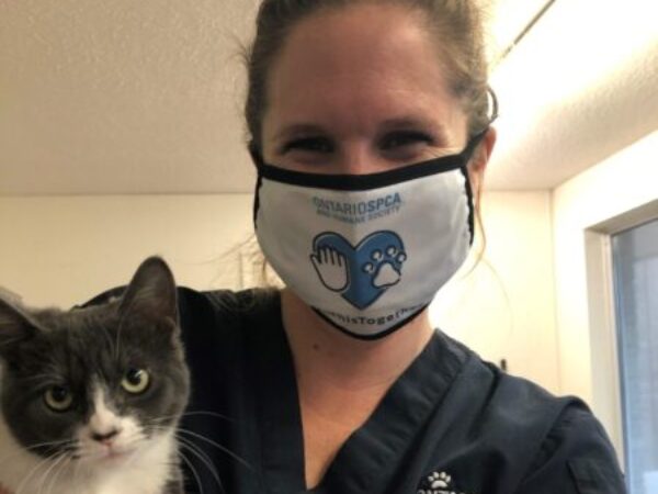 challenges of 2020, year in review, ontario spca