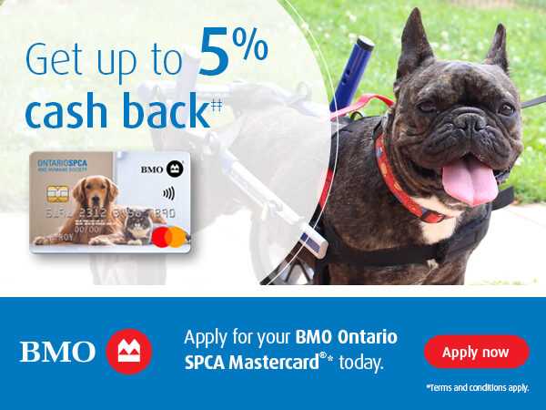 BMO mastercard with happy dog