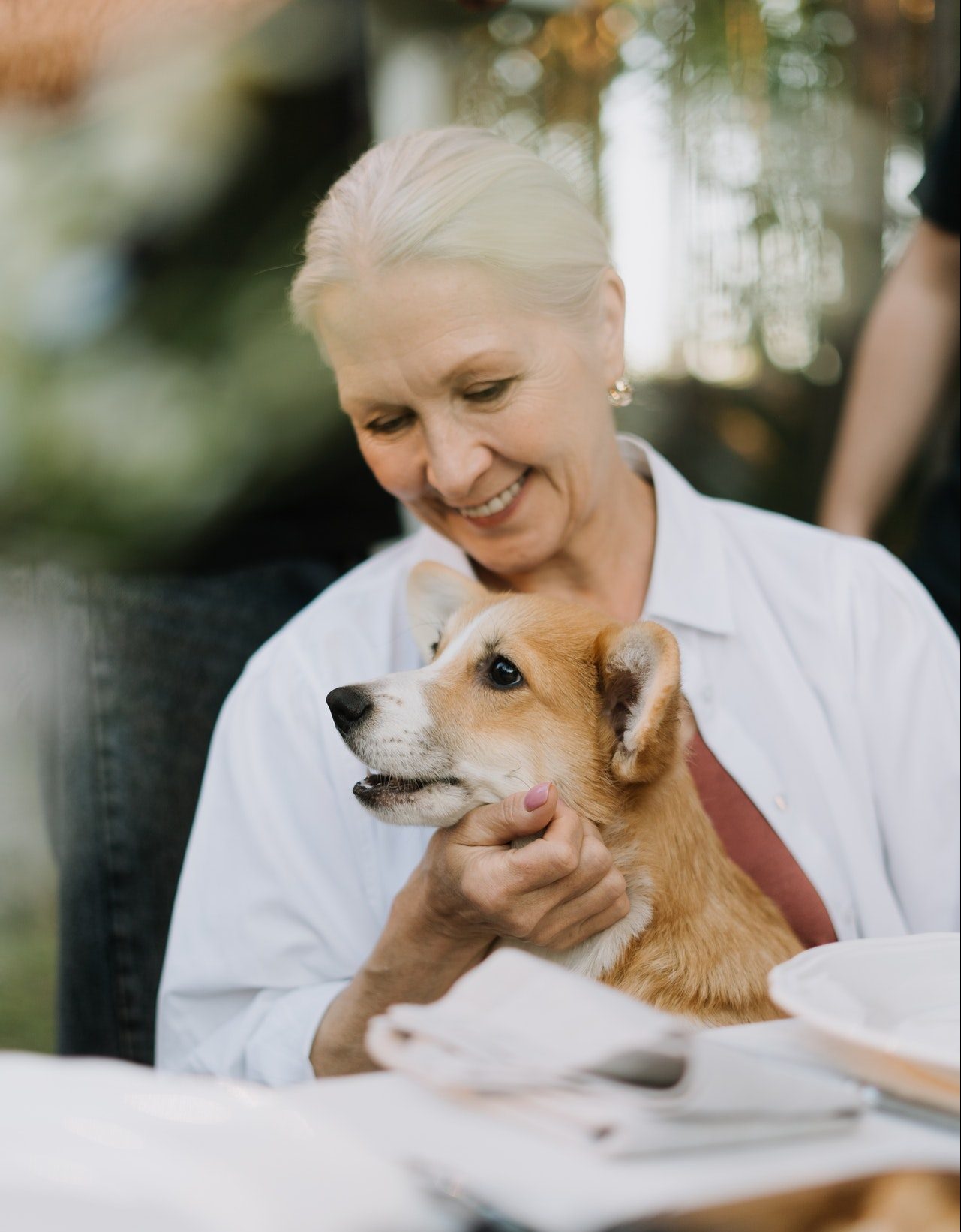 how to help your old dog with arthritis