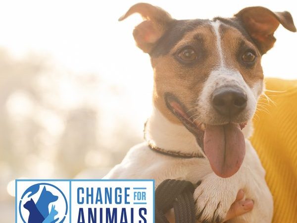 conference 2021, change for animals conference, speakers