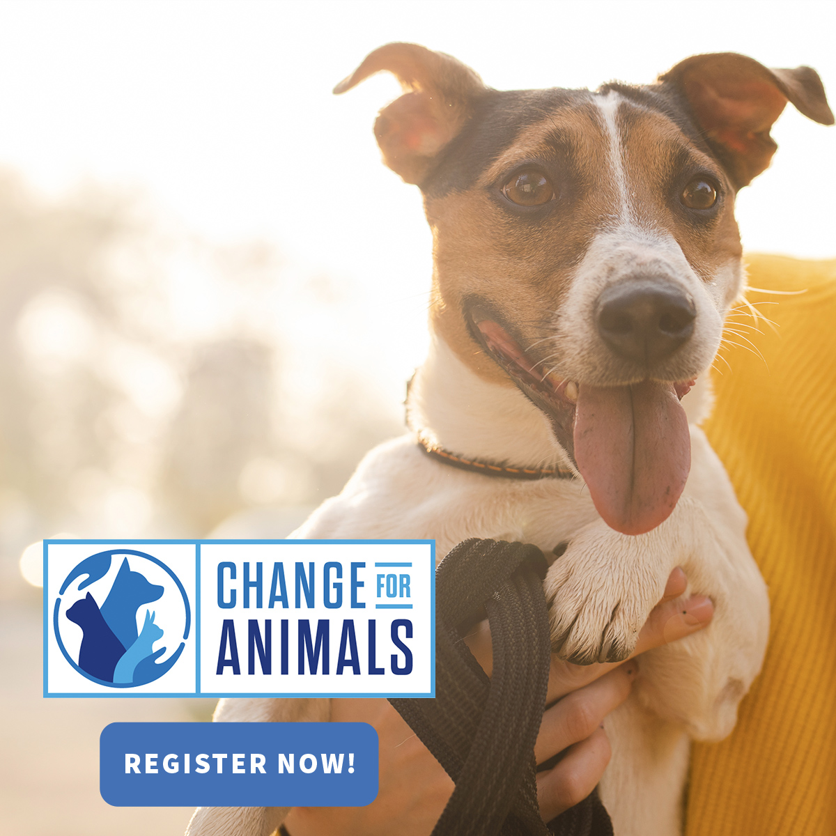 Get to know our Change for Animals conference speakers! - Ontario SPCA and  Humane Society