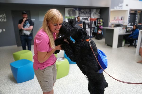 sweat for pets. fundraiser, ontario spca, 