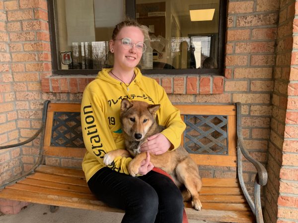 bandit, dog rehabilitation centre