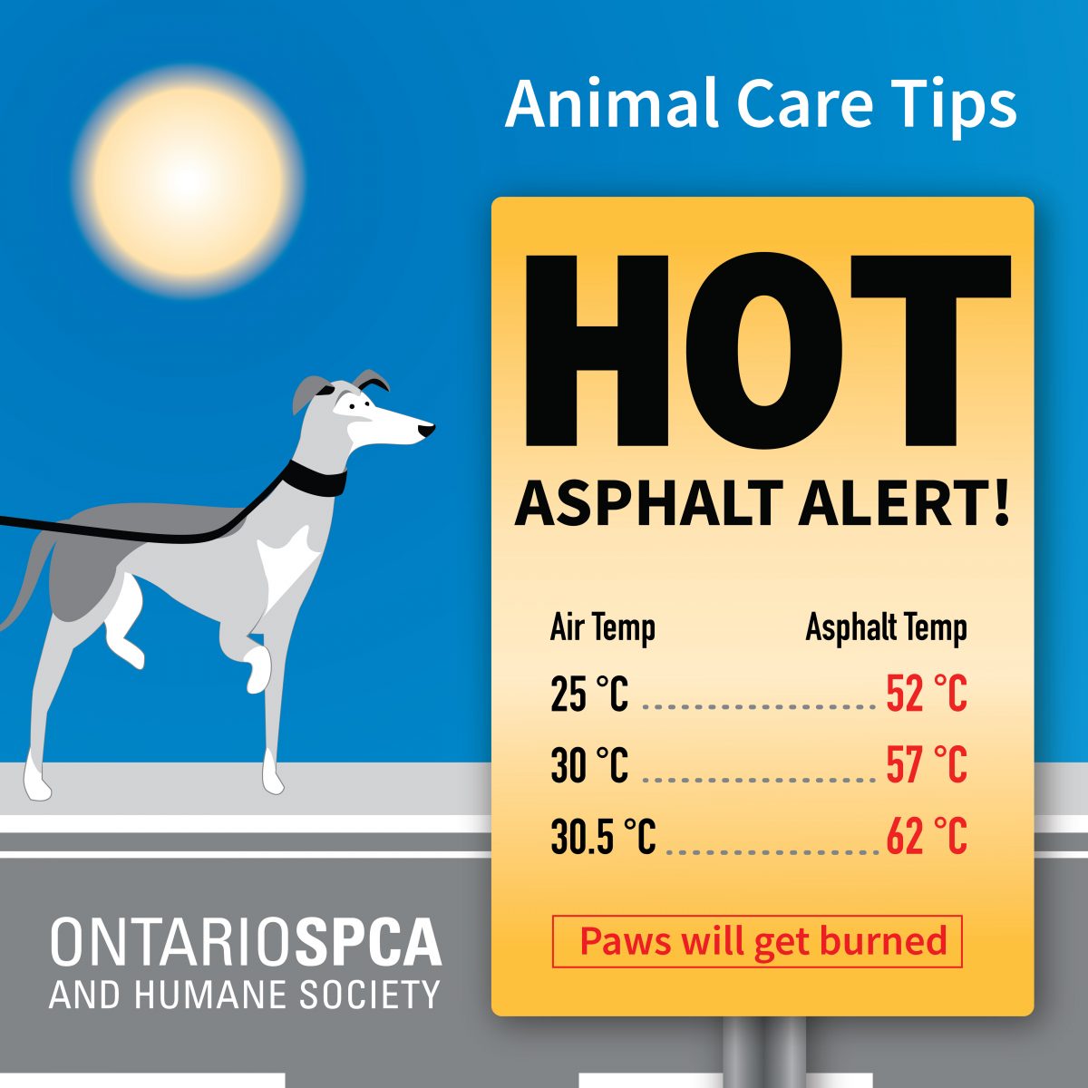 When is it too hot to walk your dog? Ontario SPCA and Humane Society