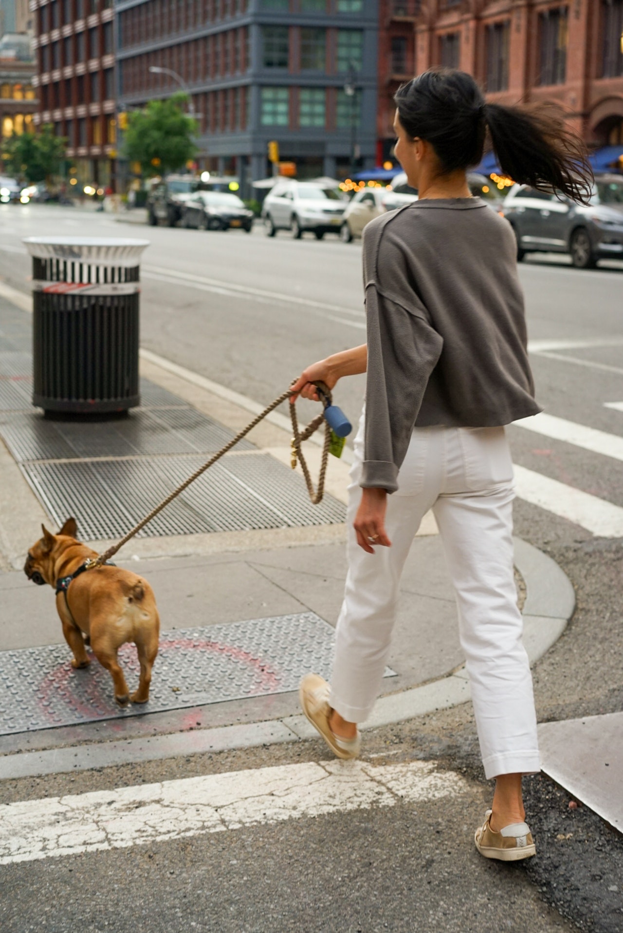 how to stop dogs barking on walks