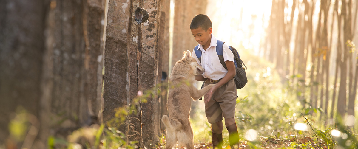 boy in forest with dog