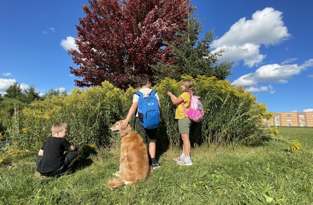 the-ontario-spca-and-humane-society-kicks-off-its-iadopt-for-the