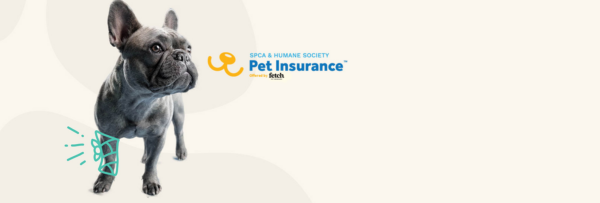 Fetch-Insurance-Banner-2023