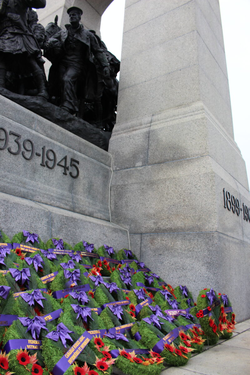 Remembering The Animals Who Served In Wartime - Ontario SPCA And Humane ...