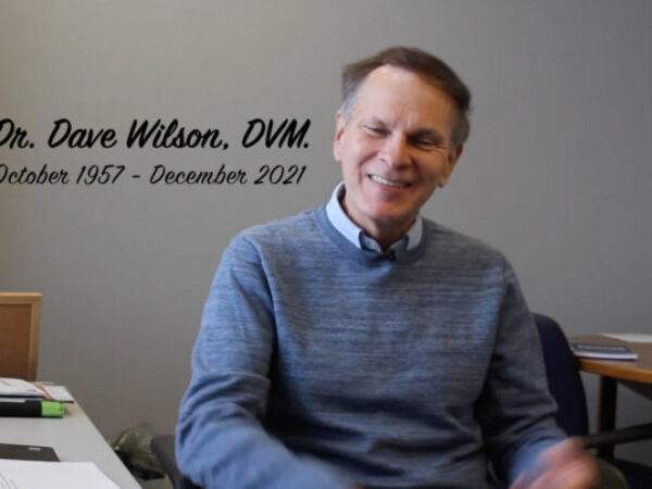 dave wilson, remembering dave