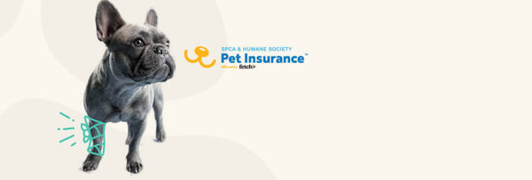 Pet Insurance - Ontario SPCA and Humane Society