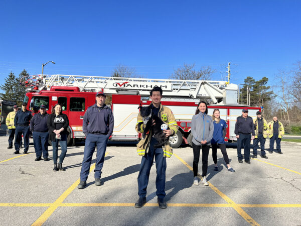 firefighters with dog